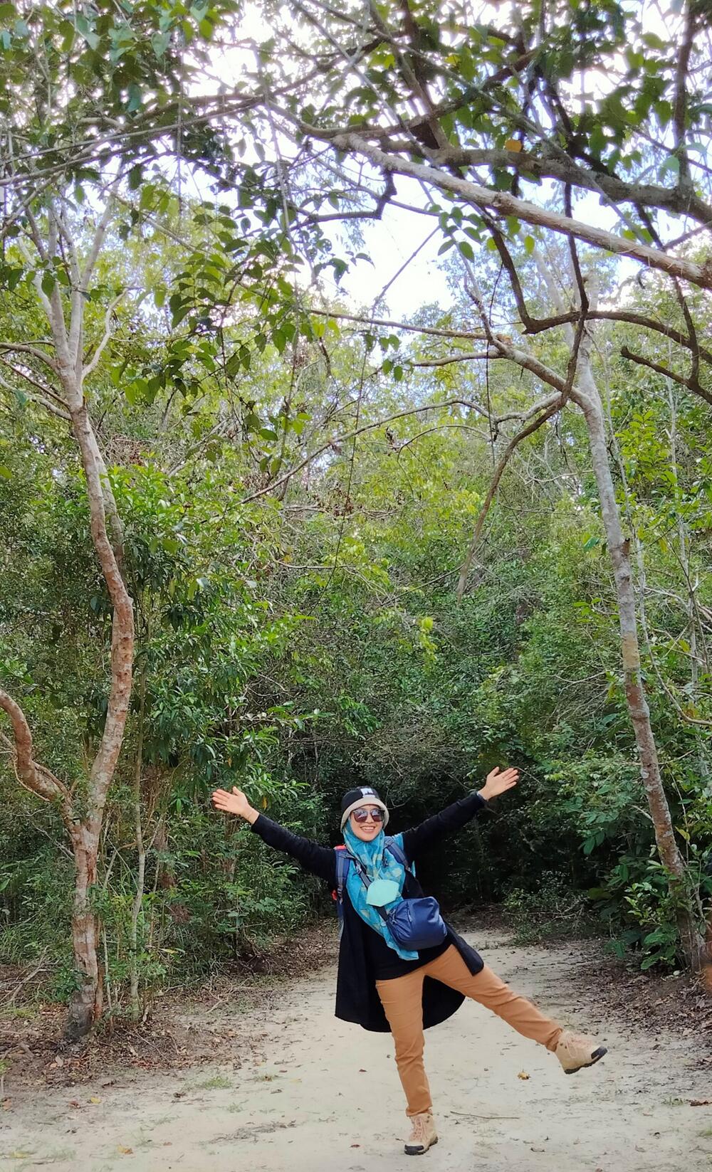 Orangutan in Tanjung Puting