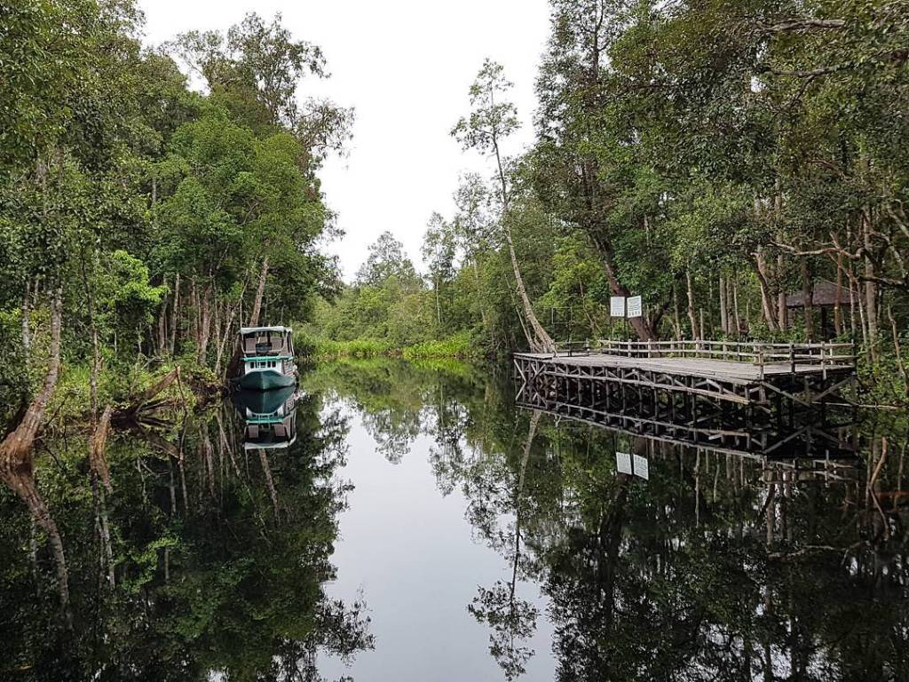 Orangutan Photography Tour