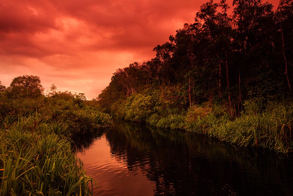 Menemukan tradisi masyarakat adat setempat.