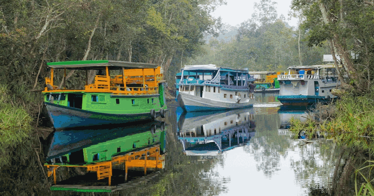 Klotok Houseboat Cruise